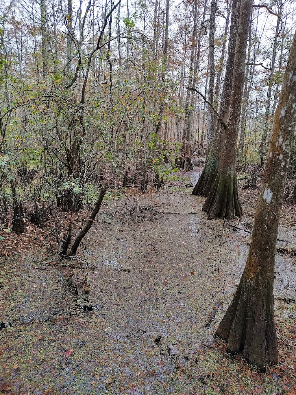 Bogue Chitto National Wildlife Refuge | Lock 1 Rd, Pearl River, LA 70452, USA | Phone: (985) 882-2000