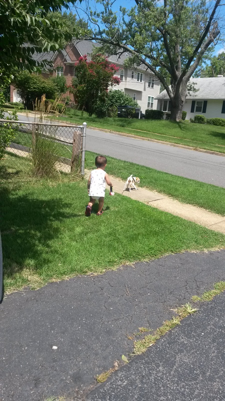 Olney Park | 1840 Olney Rd, Falls Church, VA 22043, USA | Phone: (703) 324-8732