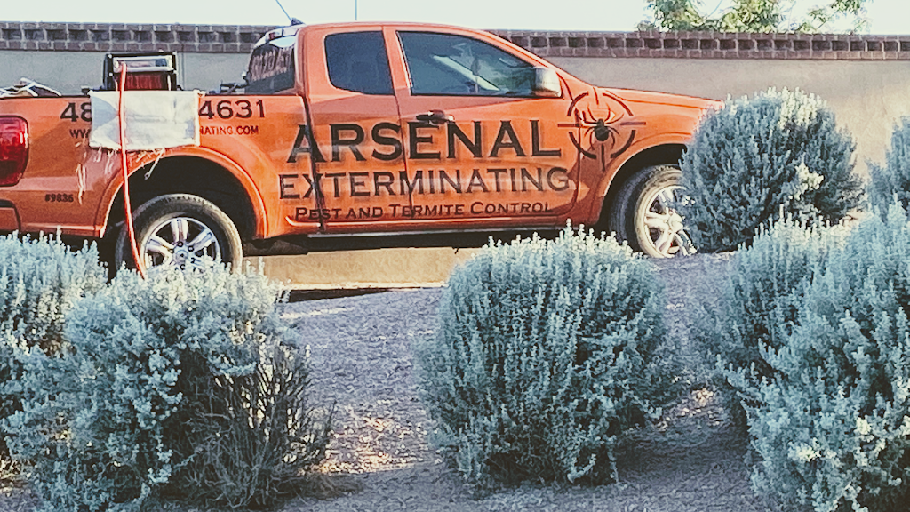 Arsenal Exterminating | 21467 E Sunset Dr, Queen Creek, AZ 85142, USA | Phone: (480) 232-4631