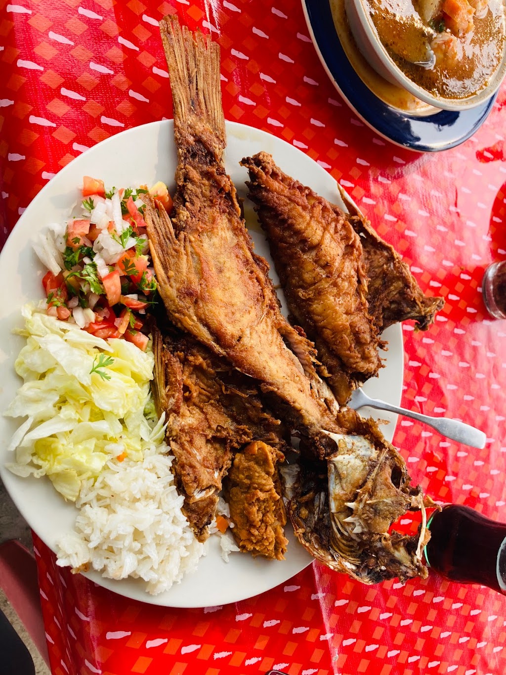 Mariscos Anarbol | Carretera libre tijuana a ensenada km. 52.5 Puerto El Campito Puerto el campito, 22712 Rosarito, B.C., Mexico | Phone: 661 688 1194