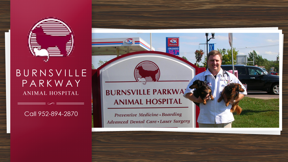 Burnsville Parkway Animal Hospital | 950 Burnsville Pkwy, Burnsville, MN 55337, USA | Phone: (952) 894-2870