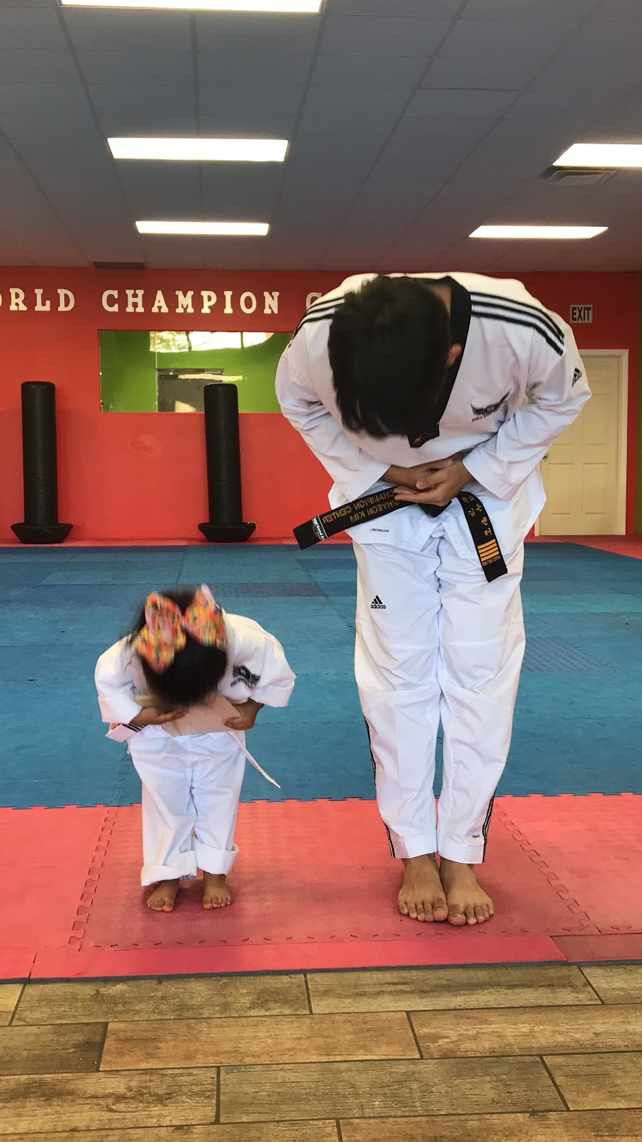 World Champion Center WCC Taekwondo Martial Arts School | 2133 Collier Pkwy, Land O Lakes, FL 34639, USA | Phone: (813) 949-3222