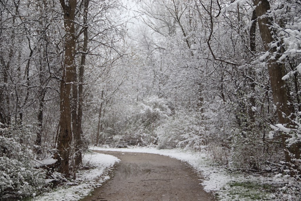 Lower River Rouge Recreation Trail | S Canton Center Rd, Canton, MI 48188, USA | Phone: (734) 394-5100