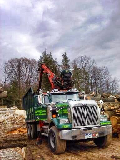 Adirondack Tree Surgeons Inc | 353 Gurn Springs Rd, Gansevoort, NY 12831, USA | Phone: (518) 792-2225