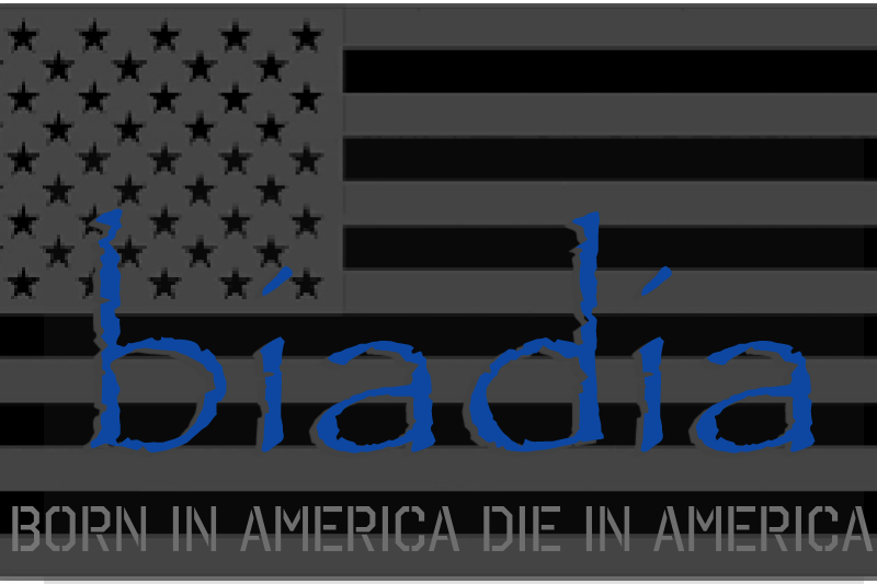 BIADIA Foundation | 1540 E Soledad Pass Rd, Palmdale, CA 93550, USA | Phone: (818) 564-0626
