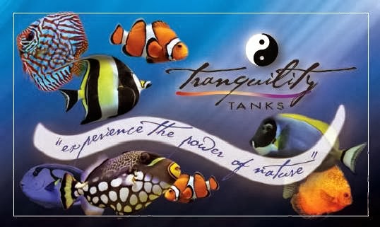 Tranquility Tanks | 752 S Union Blvd # 101, Lakewood, CO 80228, USA | Phone: (720) 334-7491