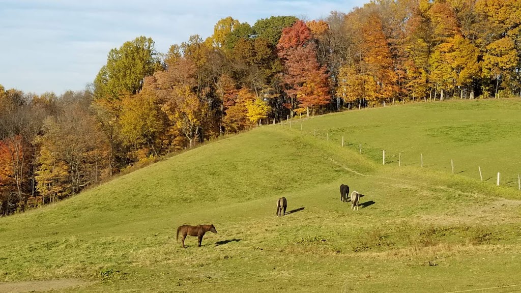 Starlight Hill Bed & Breakfast | 1690 Mill Run Rd, Mill Run, PA 15464, USA | Phone: (724) 329-5238