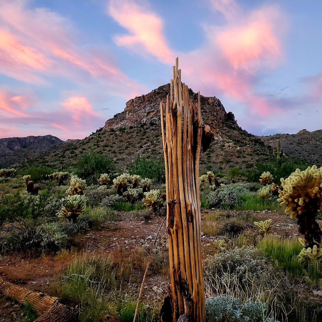 White Tank Mountain Regional Park | Arizona, USA | Phone: (602) 506-2930