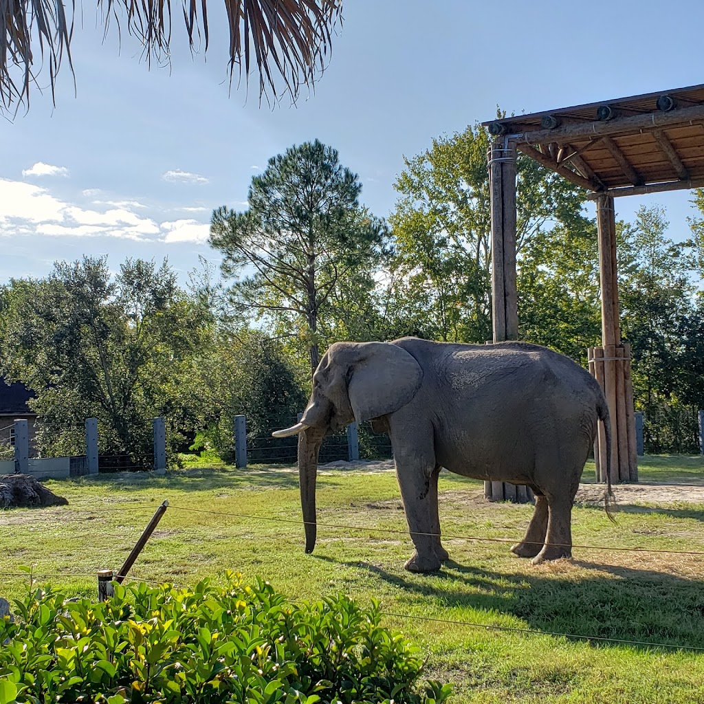 Jacksonville Zoo and Gardens | 370 Zoo Pkwy, Jacksonville, FL 32218, USA | Phone: (904) 757-4463