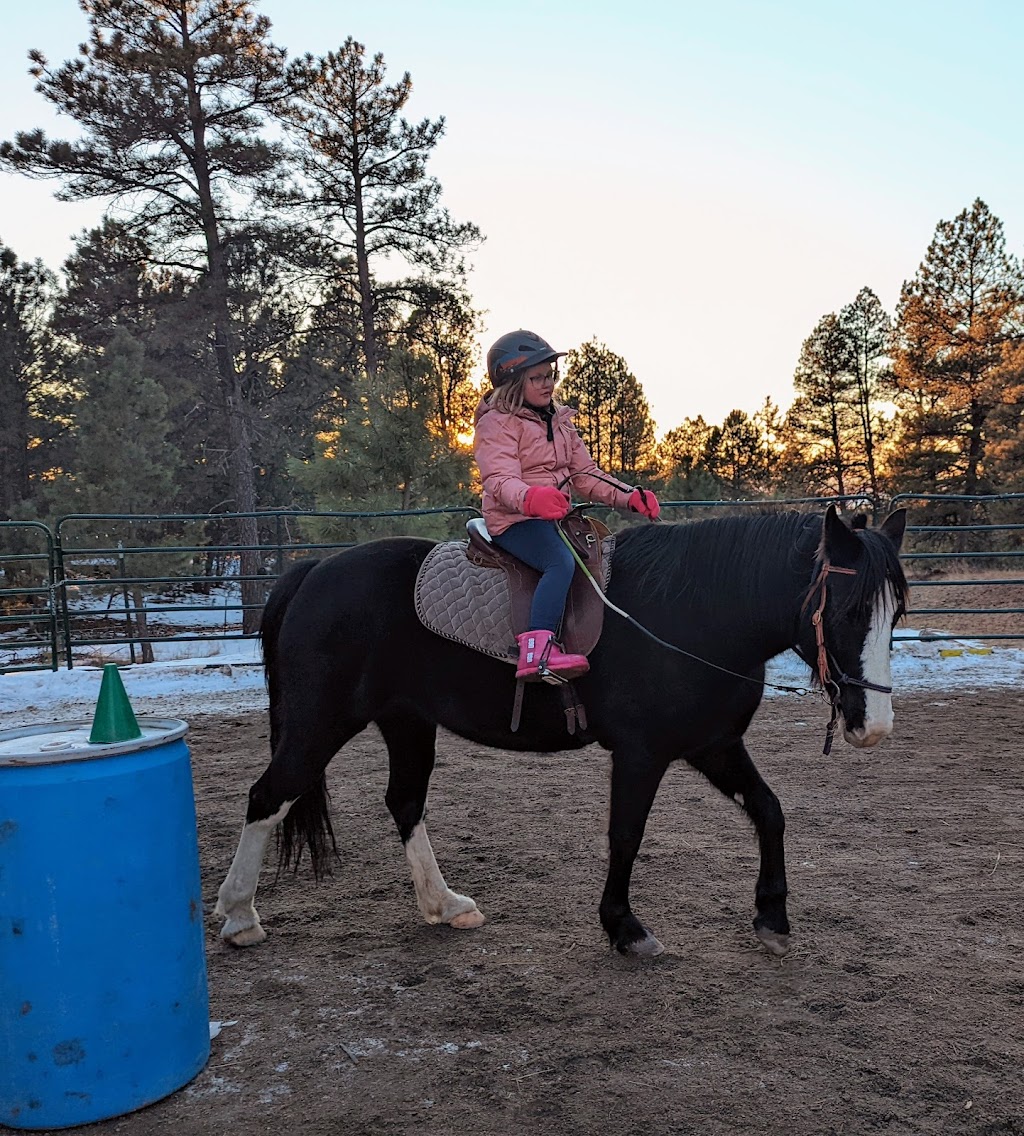 Connections Through Horses | 4817 National Western Dr, Denver, CO 80216 | Phone: (303) 646-6166