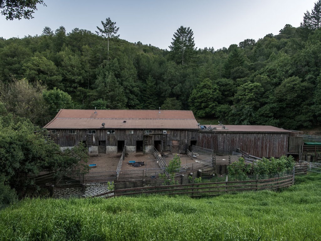 Devils Gulch Ranch | 200 Road to Ranch Visits by appointment, Nicasio, CA 94946, USA | Phone: (415) 662-1099