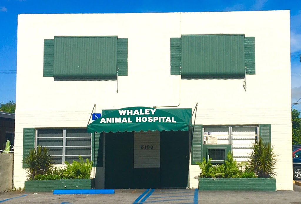 Whaley Animal Hospital | 3190 Palm Ave, Hialeah, FL 33012, USA | Phone: (305) 888-6446