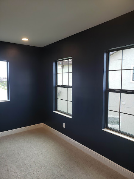 Tampa Quality Painting | 5809 Fishhawk Ridge Dr, Lithia, FL 33547, USA | Phone: (813) 230-0110