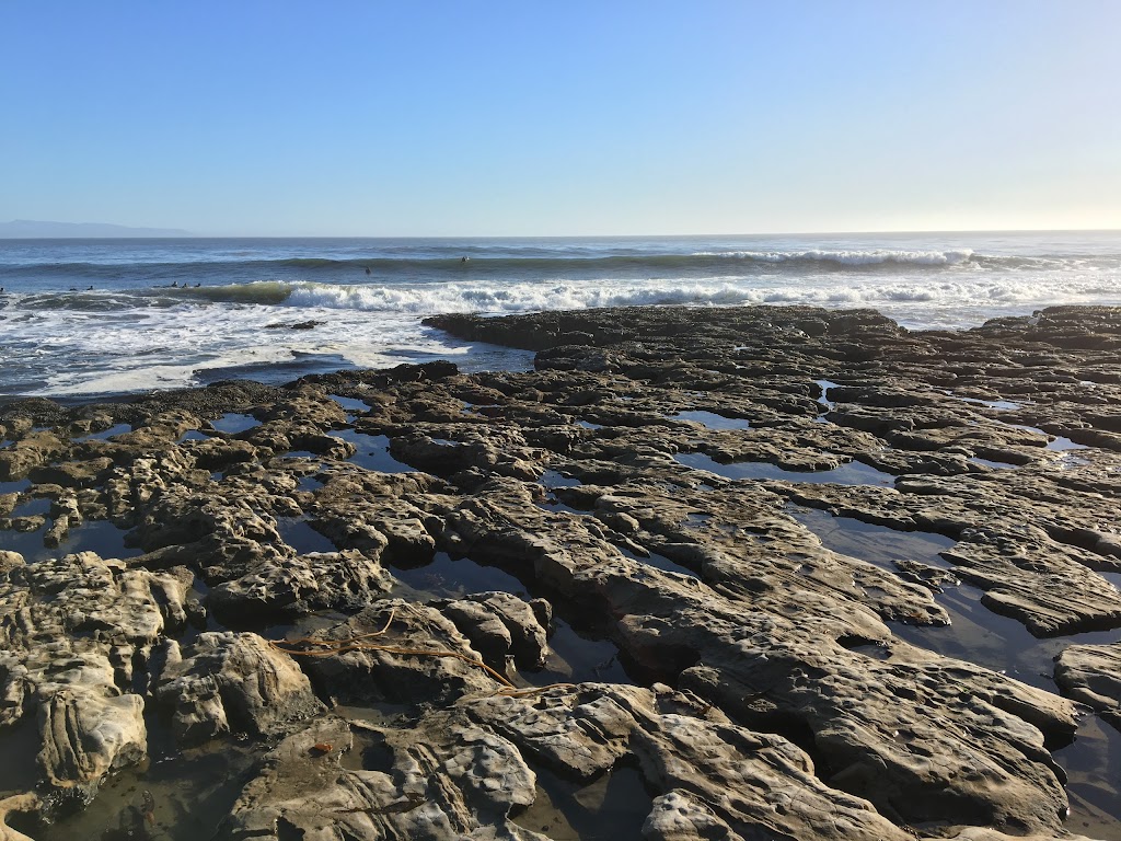 Natural Bridges Tidepools | Santa Cruz, CA 95060, USA | Phone: (831) 423-4609