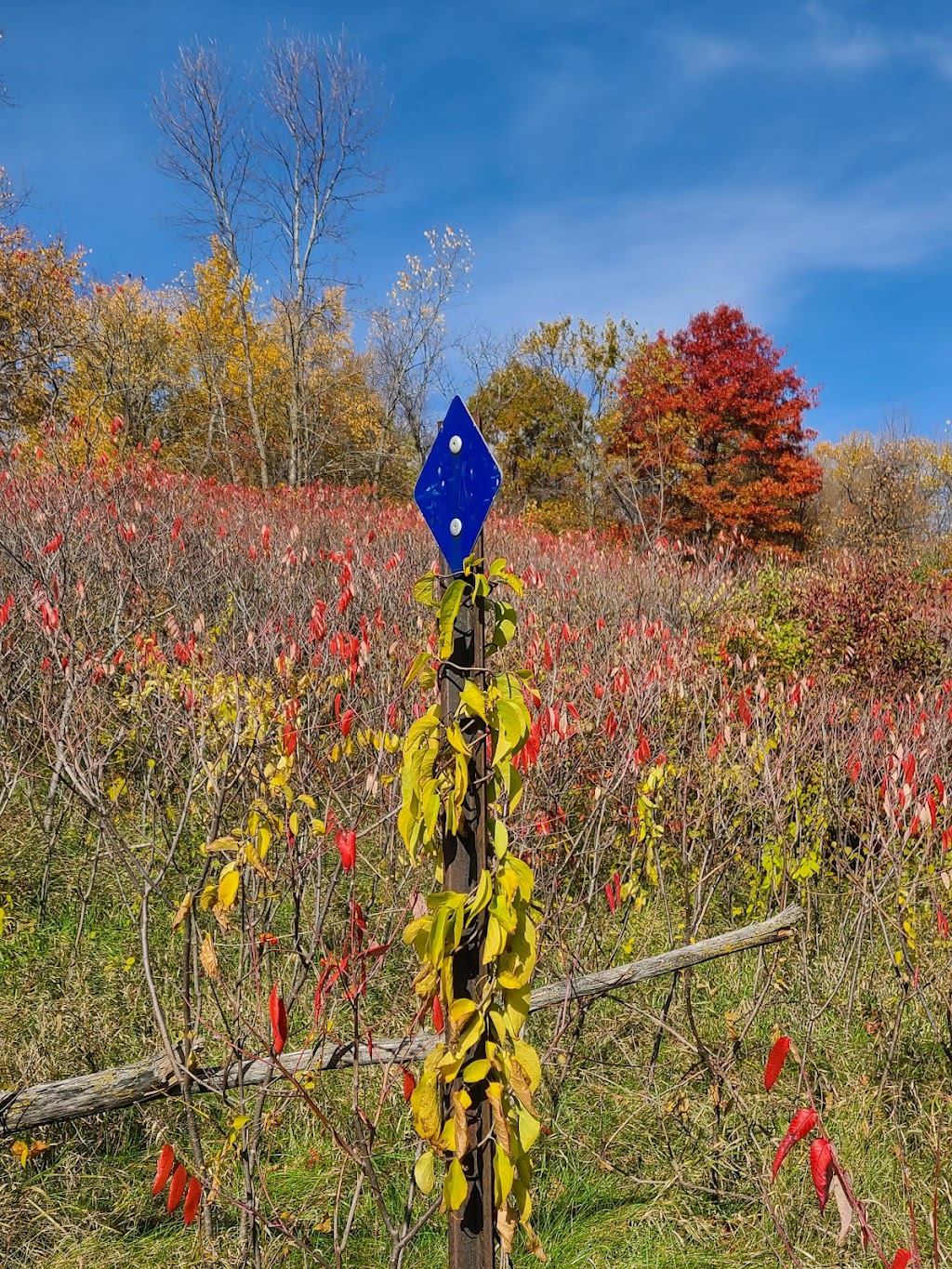 Crow Hassan Trailhead | Rogers, MN 55374, USA | Phone: (763) 694-7860