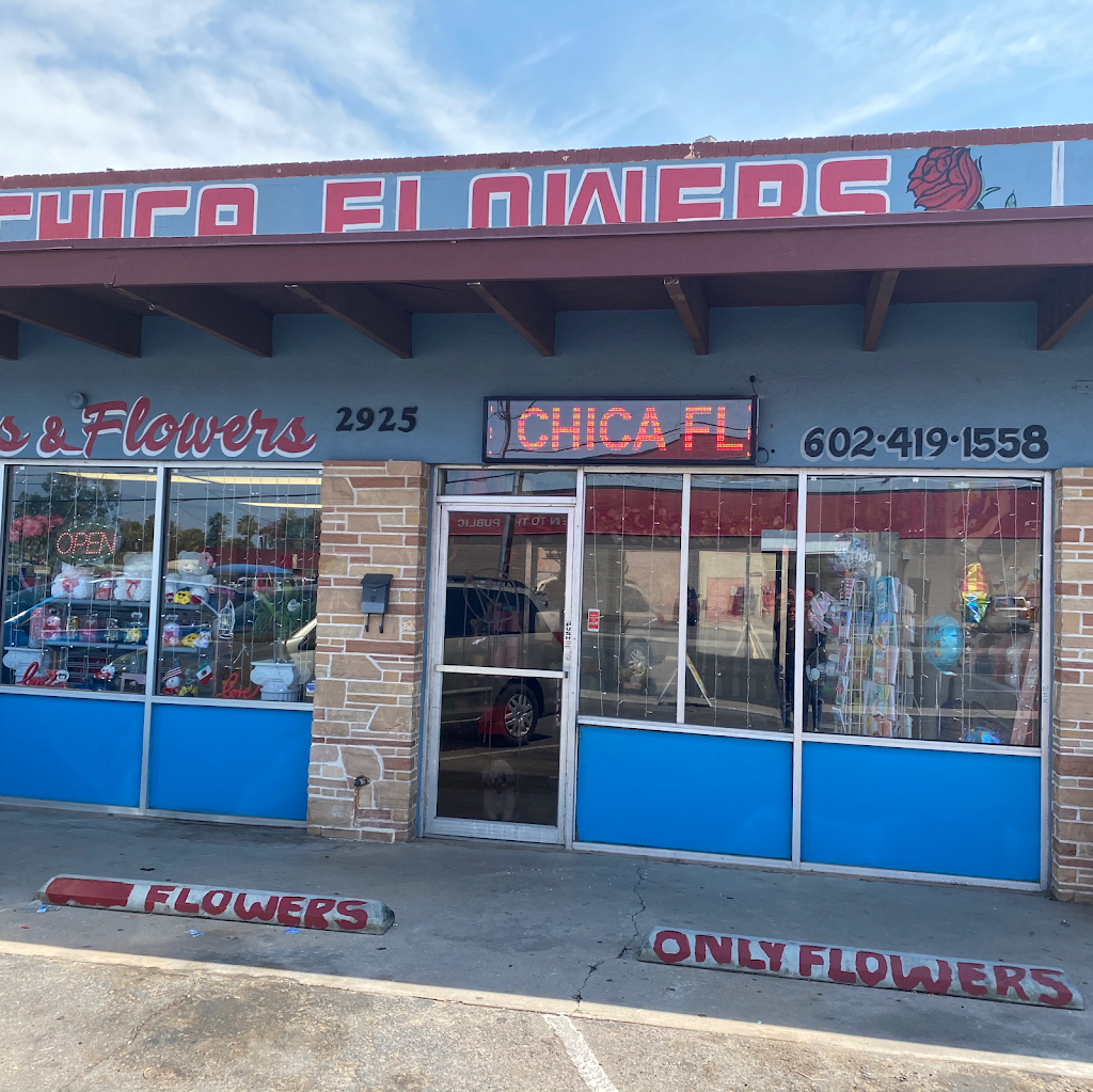 Chica Flowers | 2925 E McDowell Rd, Phoenix, AZ 85008, USA | Phone: (602) 419-1558