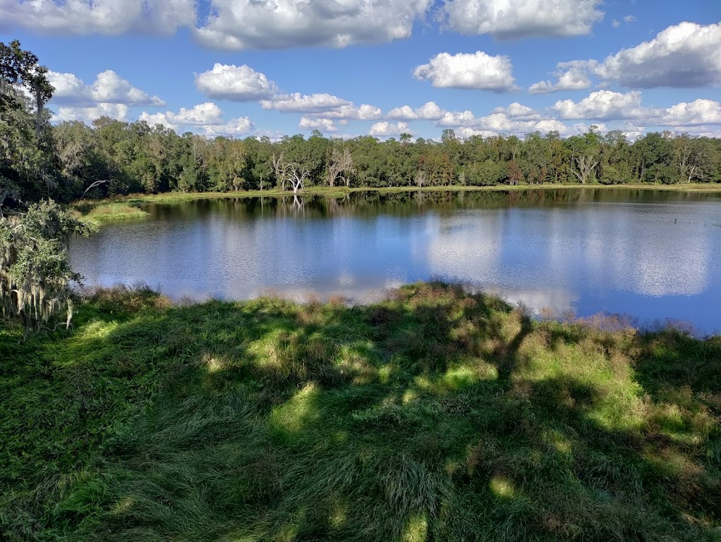 TreeHoppers Aerial Adventure Park | 27839 St Joe Rd, Dade City, FL 33525, USA | Phone: (813) 381-5400