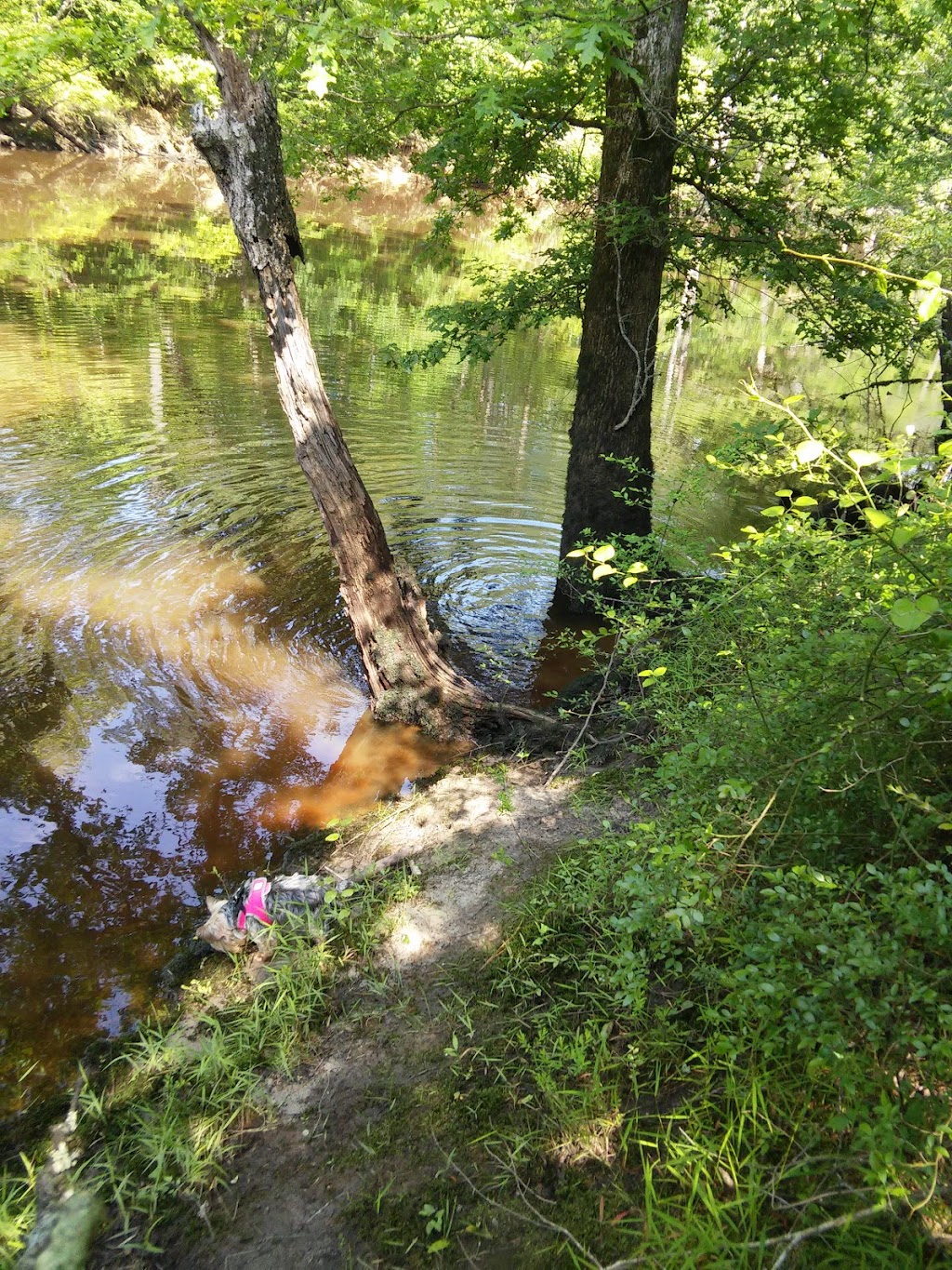 Blackwater Ecological Preserve | Thomas Woods Trail, Zuni, VA 23898, USA | Phone: (757) 683-3597