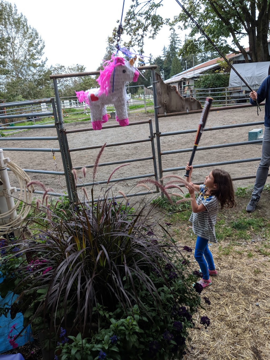 Pony Paradise Rides | 8107 224th St SE, Woodinville, WA 98072, USA | Phone: (800) 753-7669