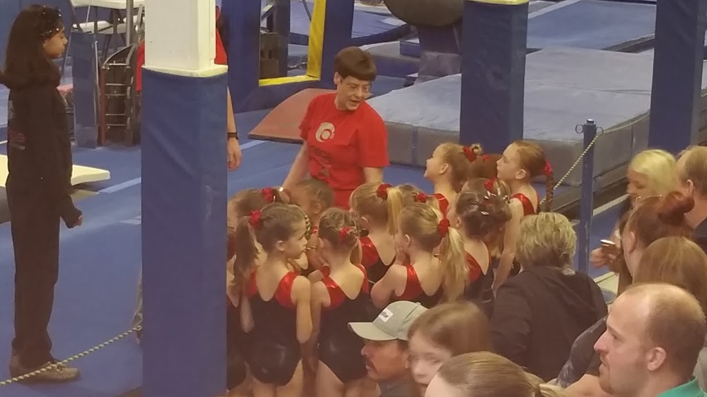 Omaha Gymnastics Academy | 1217 N Monroe St, Papillion, NE 68046, USA | Phone: (402) 339-2924