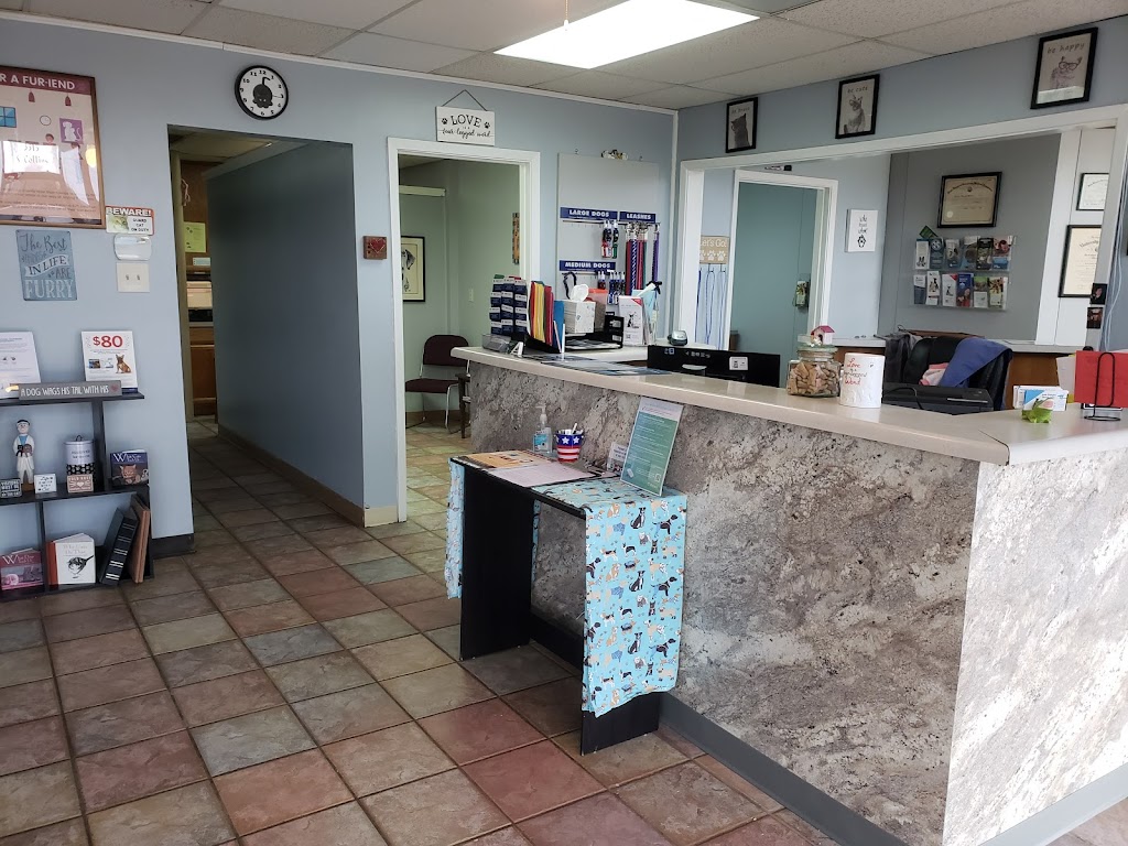 South Arlington Animal Clinic | 3315 S Collins St, Arlington, TX 76014, USA | Phone: (817) 274-3328