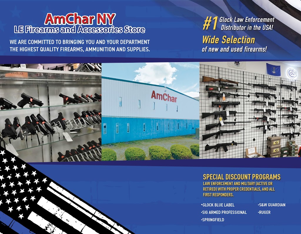 AmChar NY | 100 Air Park Dr Floor 1, Rochester, NY 14624, USA | Phone: (585) 774-0059