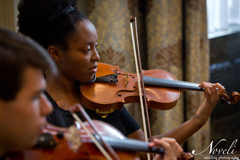 Upstate Strings Trio | 13212 Winter Hazel Rd, Charlotte, NC 28278 | Phone: (864) 561-8995