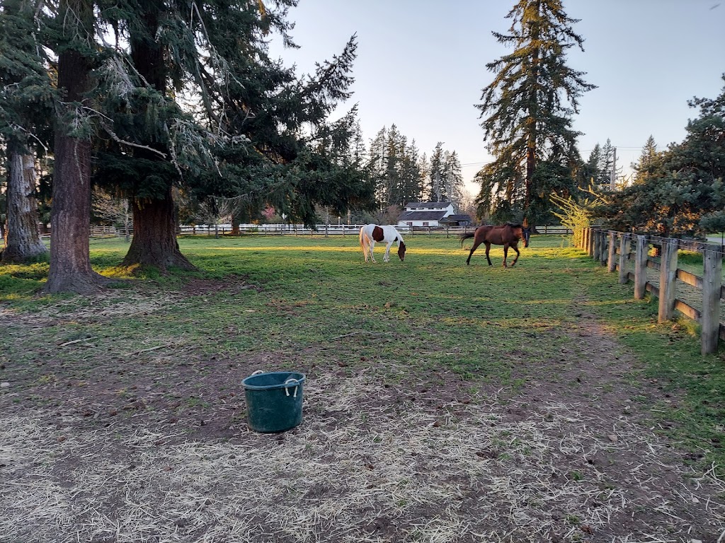 Caliber Equestrian Farm | 15927 SE Lake Holm Rd, Auburn, WA 98092, USA | Phone: (253) 880-9610
