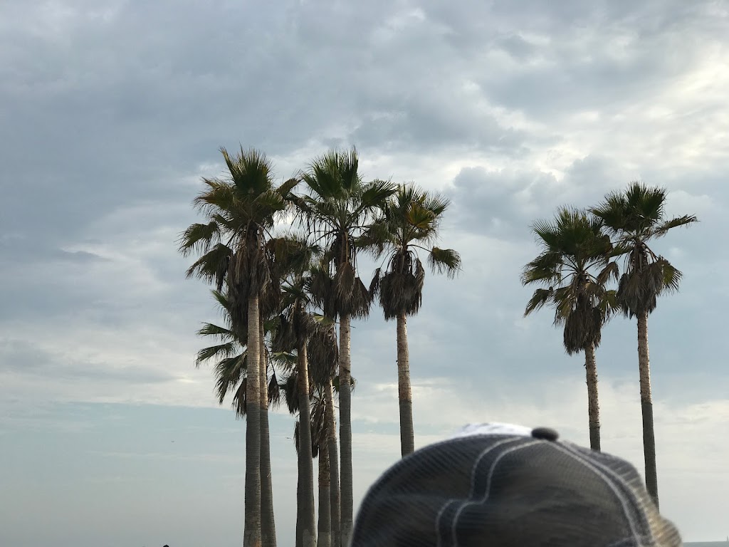 Venice Skateboarding | 8 Brooks Ave C, Venice, CA 90291, USA | Phone: (310) 314-5230