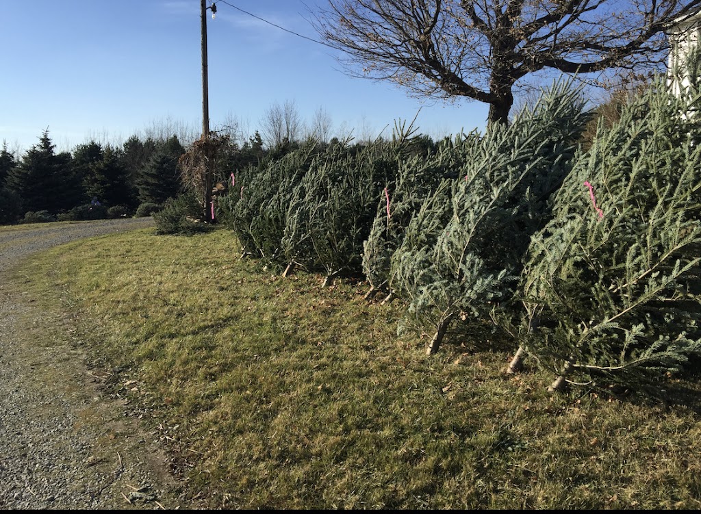 Uncle Wallys Tree Farm | 6420 Wooster Pike, Medina, OH 44256 | Phone: (330) 573-4009