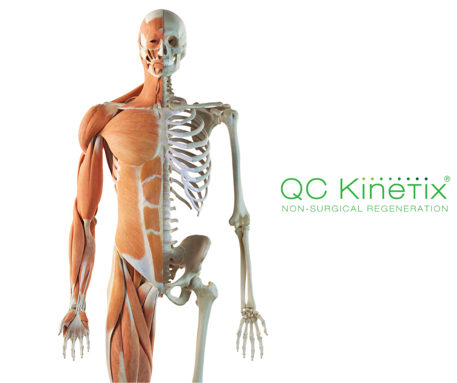 QC Kinetix (St. Petersburg) | 625 6th Ave S Suite 365, St. Petersburg, FL 33701, United States | Phone: (813) 305-3000