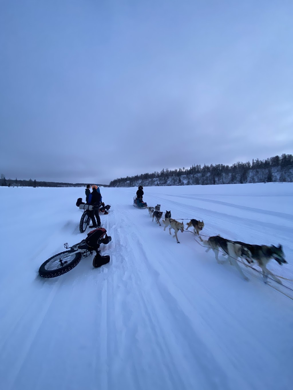 Iditarod Trailside Lodgings | Mile 22 Yentna River, Skwentna, AK 99667, USA | Phone: (907) 733-2505