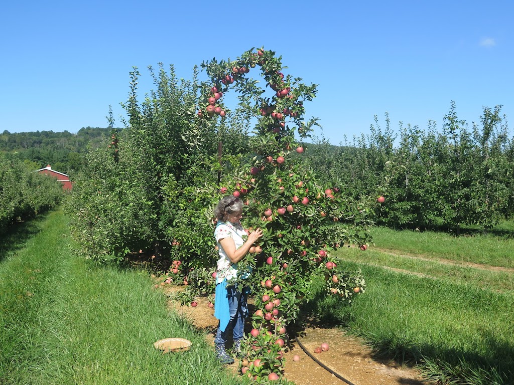 Melicks Town Farm - Califon Orchards | 472 County Rd 513, Califon, NJ 07830, USA | Phone: (908) 832-2905