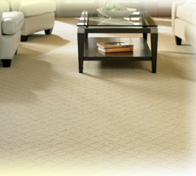 Schwais Quality Floor Covering Inc | 200 Highland Dr, Fredonia, WI 53021, USA | Phone: (262) 692-6055