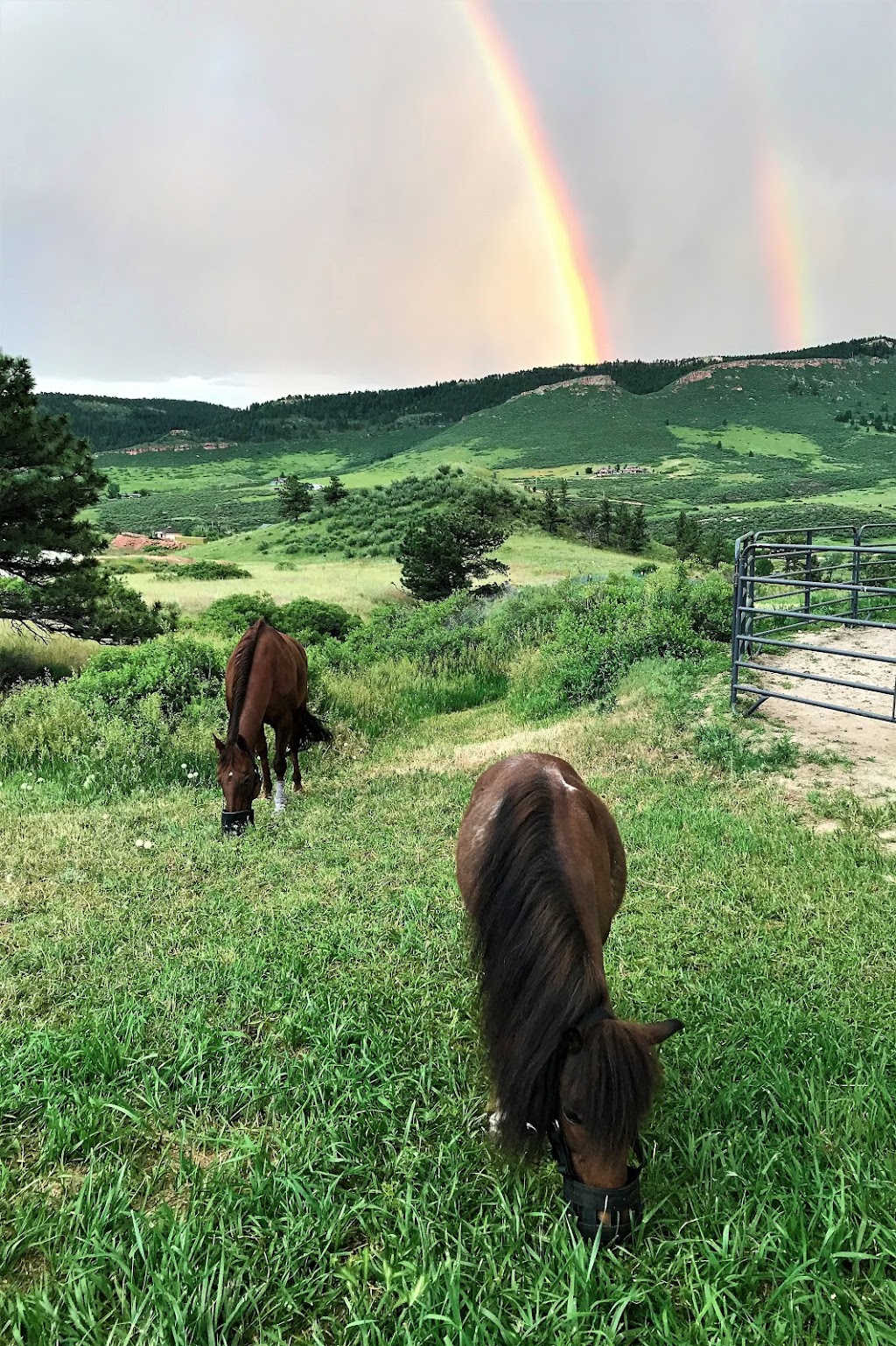 Dancing Spirit Equine Facilitated Learning and Coaching | 876 Stagecoach Trail, Lyons, CO 80540, USA | Phone: (720) 320-7237