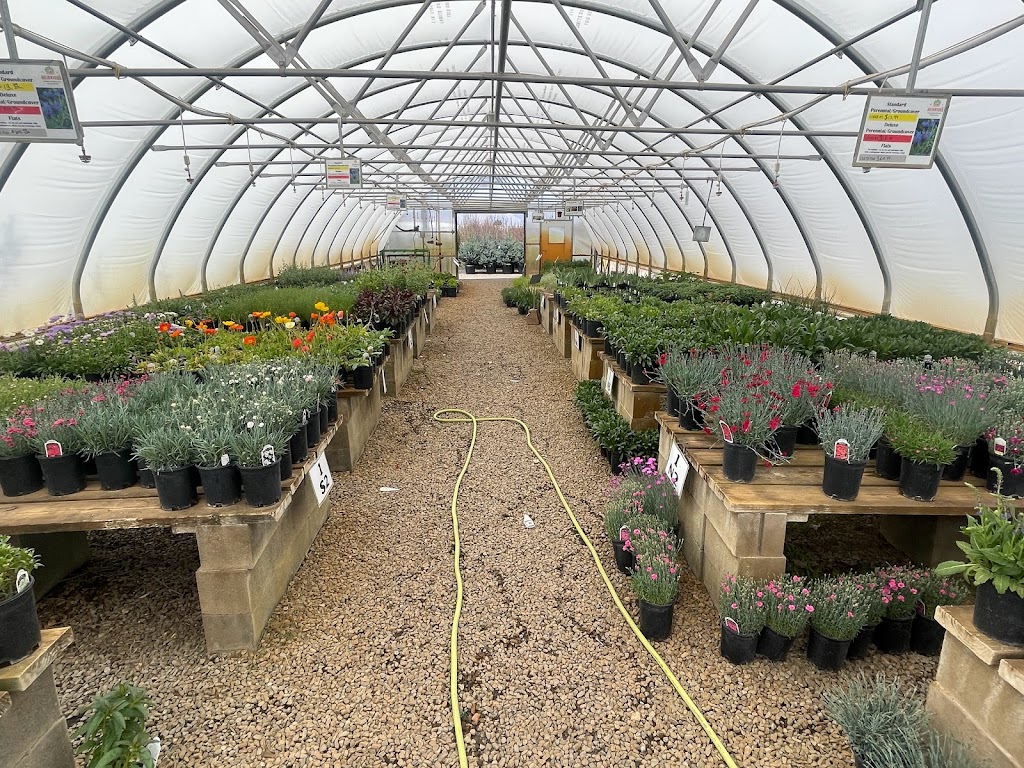 Heidrichs Colorado Tree Farm Nursery | 7440 Templeton Gap Rd, Colorado Springs, CO 80923, USA | Phone: (719) 598-8733