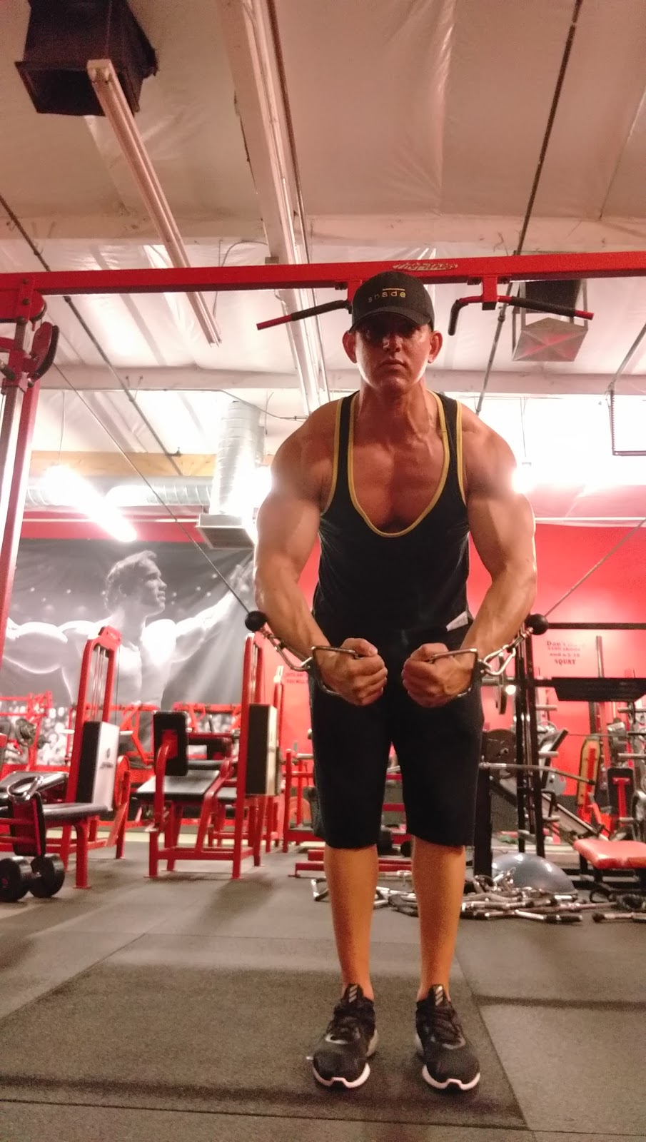 Metroflex Gym | 1950 W Rose Garden Ln #130, Phoenix, AZ 85027, USA | Phone: (602) 353-9496