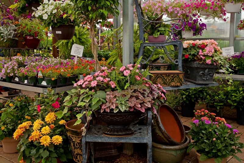 Rohr & Sons Nursery-Garden Center | 7211 Portage St NW, Massillon, OH 44646, USA | Phone: (330) 499-0101