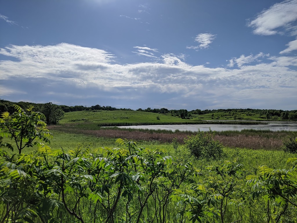 Lake Rebecca Singletrack Trailhead | 9831 Rebecca Park Trail, Rockford, MN 55373, USA | Phone: (612) 720-6434