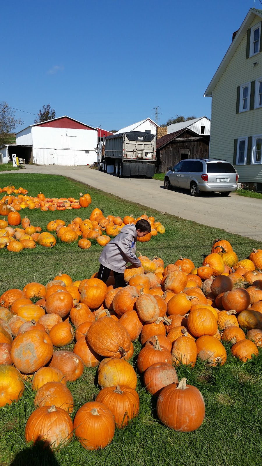 Myers Pickle Farm | 969 PA-66, Leechburg, PA 15656, USA | Phone: (724) 842-1691