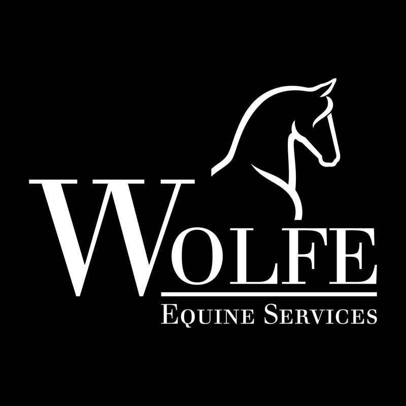 Wolfe Equine Services, PLLC | 4855 Petersburg Rd, Petersburg, KY 41080 | Phone: (859) 250-0520