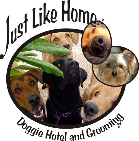 Just Like Home Doggie Hotel and Grooming | 4872 W Lake Mead Blvd, Las Vegas, NV 89108, United States | Phone: (702) 558-5689