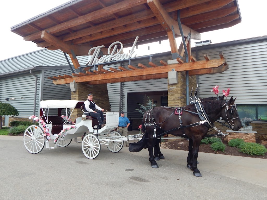 Horsing Round Carriage Service | 144 Dunbar Ohiopyle Rd, Dunbar, PA 15431, USA | Phone: (724) 277-0974