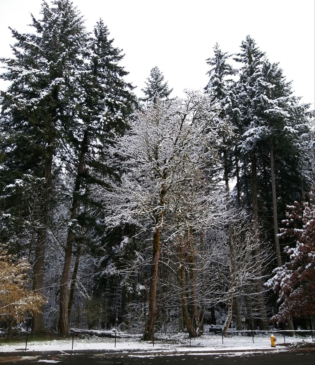 Orchards Highlands Neighborhood Park | 9310 NE 112th Ave, Vancouver, WA 98662, USA | Phone: (360) 397-2285