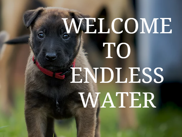 Endless Water | 817 Honore Ave, Sarasota, FL 34232 | Phone: (941) 351-8180