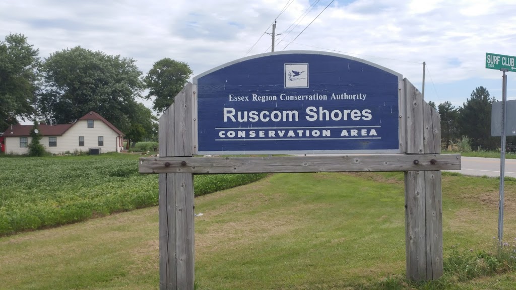 Ruscom Shores Conservation Area | Pointe aux Roches, Lakeshore, ON N0R 1S0, Canada | Phone: (519) 776-5209