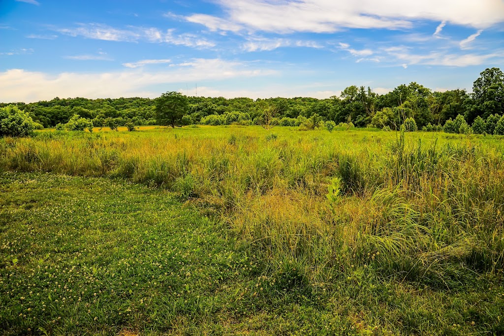 Prairie Preserve Trail | Louisville Loop, Louisville, KY 40299, USA | Phone: (502) 584-0350