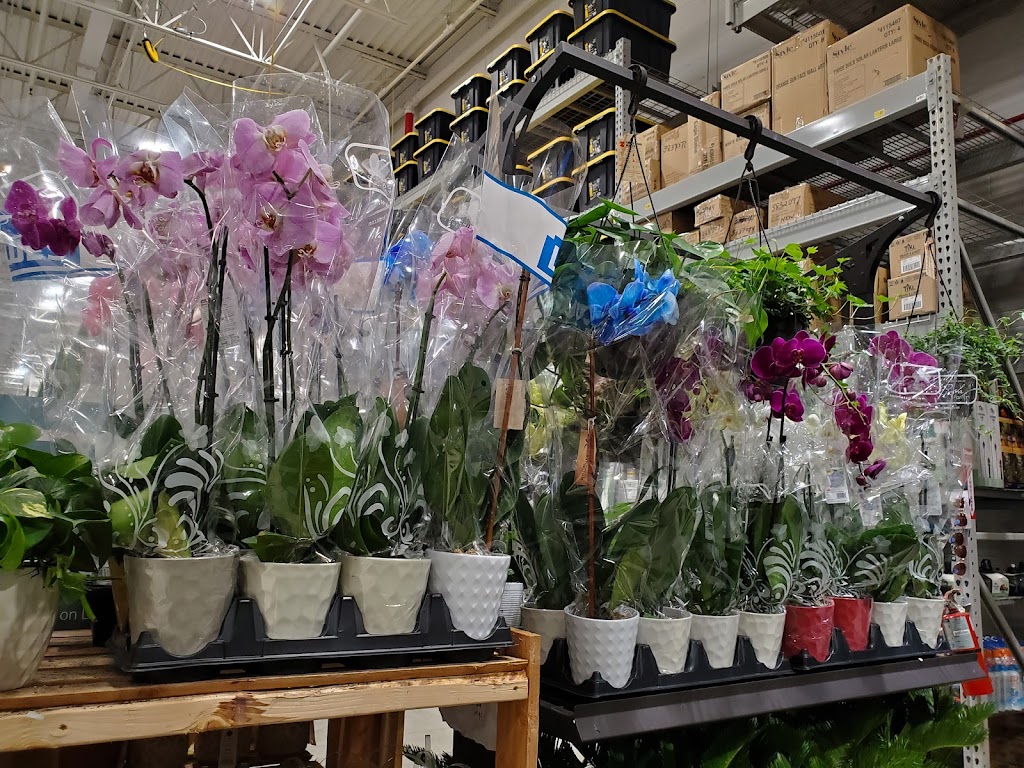 Lowes Garden Center | 8224 Golden Link Blvd, Northfield, OH 44067, USA | Phone: (330) 908-2750