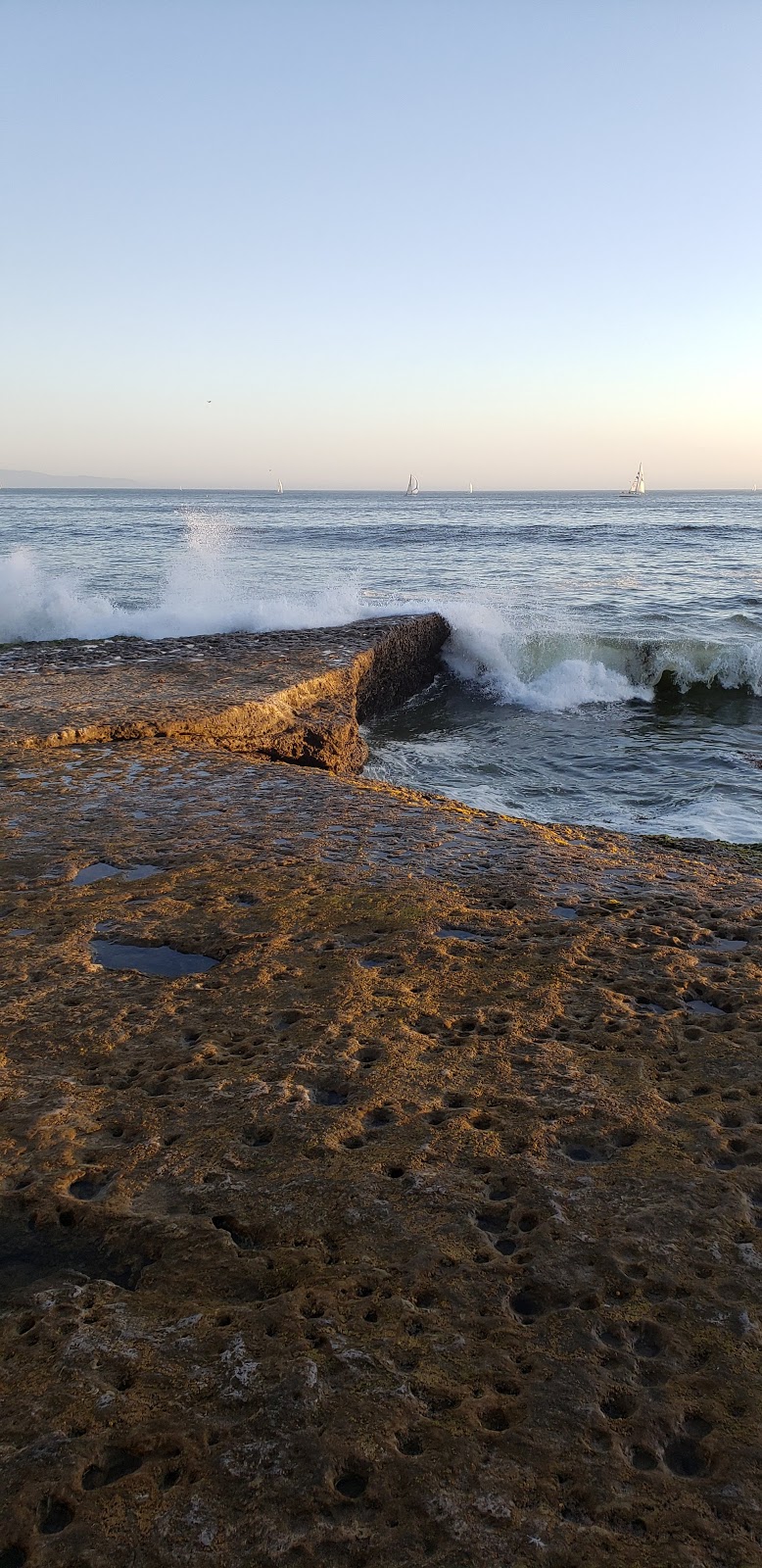 Starbucks | 21620 E Cliff Dr, Santa Cruz, CA 95062, USA | Phone: (831) 212-3489