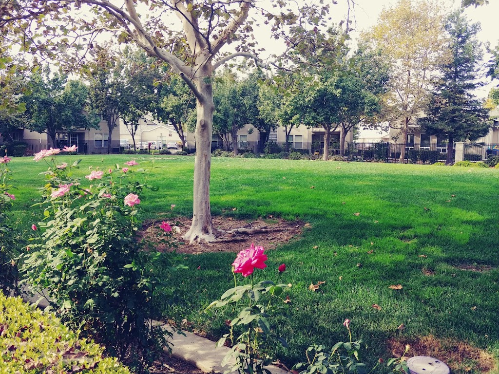 Lippincott Park | 3230 Renwick Ave, Elk Grove, CA 95758, USA | Phone: (916) 405-5688